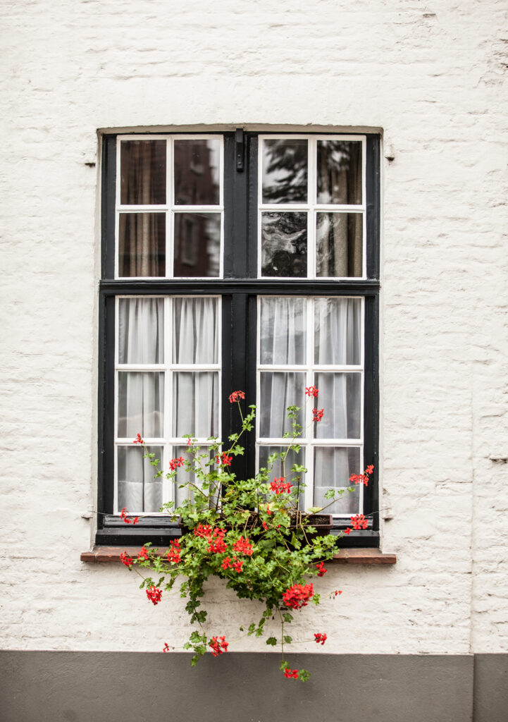 Window with garden in Brugge
